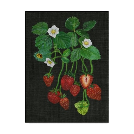 Melissa Wang 'Strawberry Fields Ii' Canvas Art,18x24